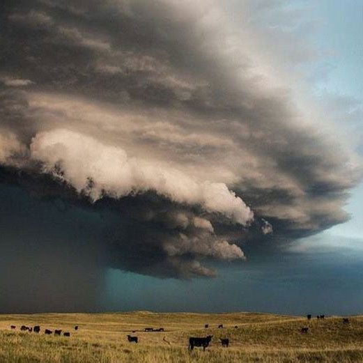 Before The Storm