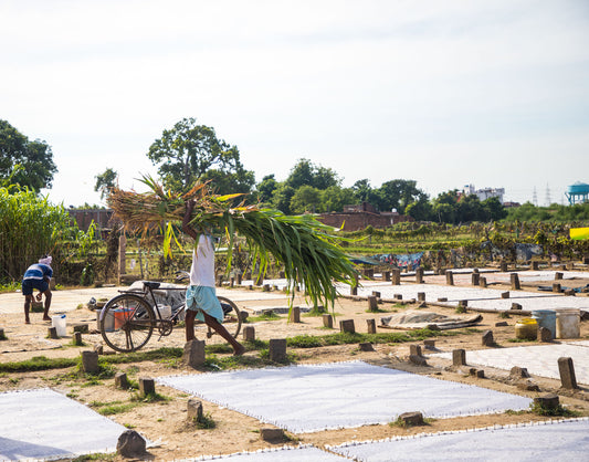 Rug Weaving facility in Mirzapur