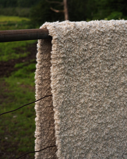 BOUCLÉ Area Rug