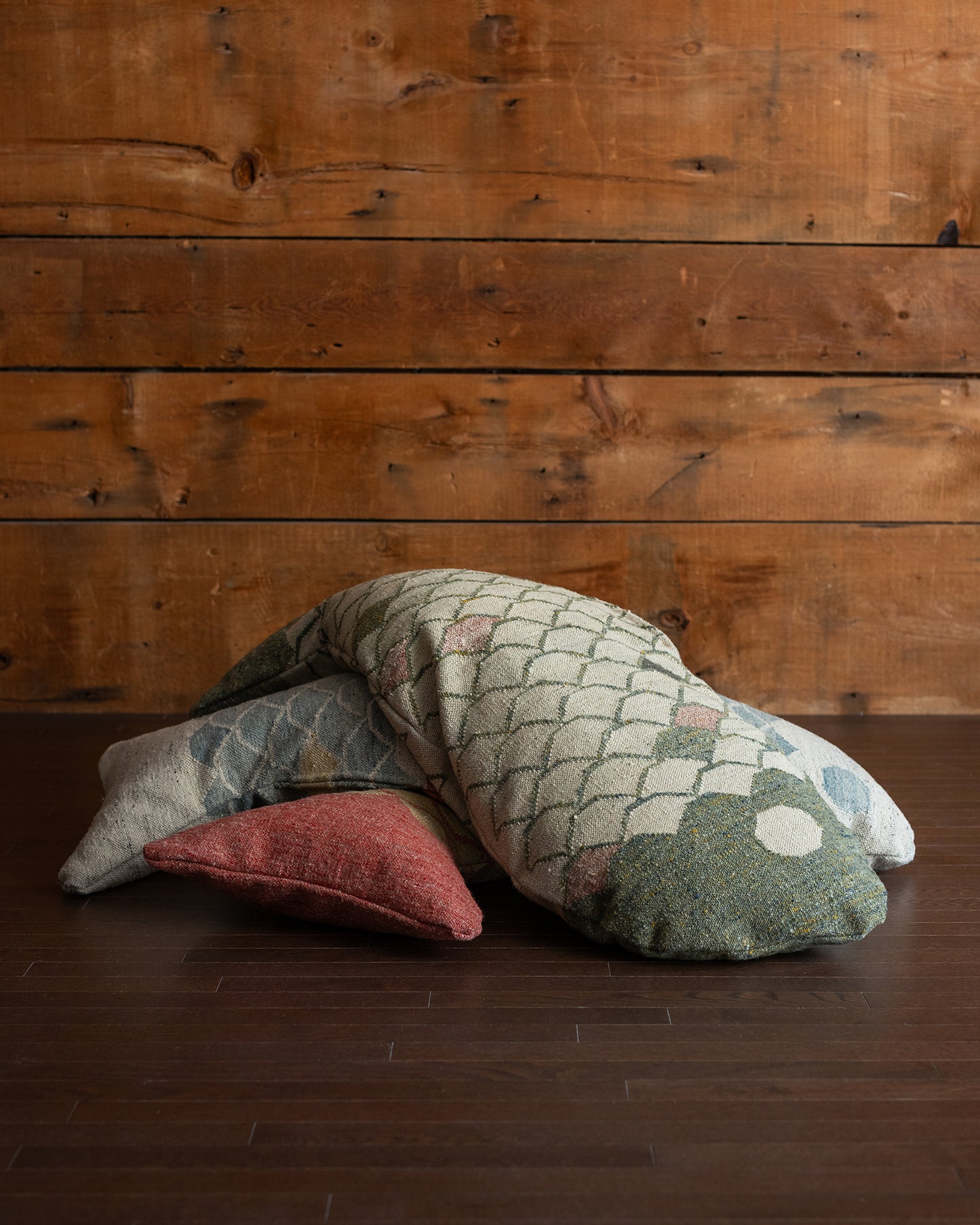 Coussin FISH