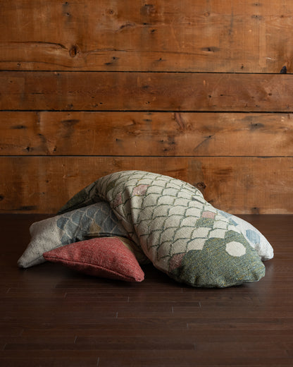 Coussin FISH