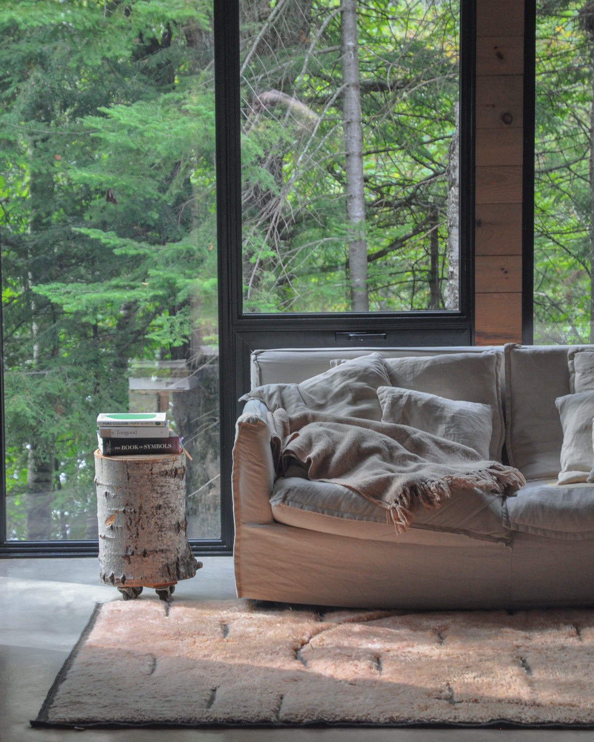 Dawn Area Rug